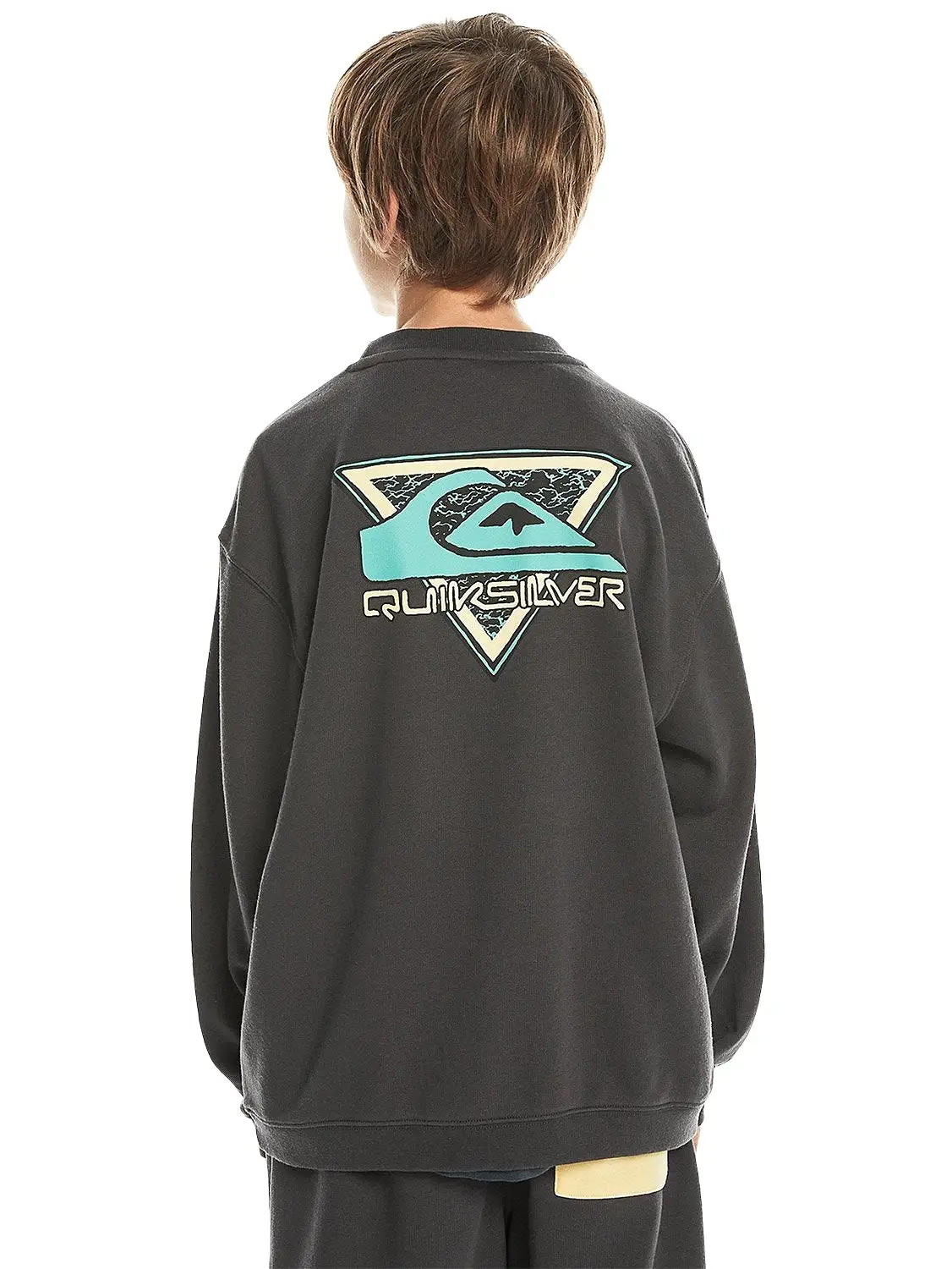 Quiksilver Boys Take Us Back Crew Sweater